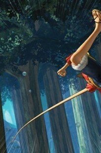 one piece kaizoku musou 09