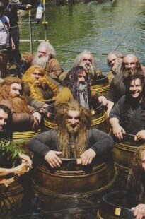 Lo Hobbit (14)