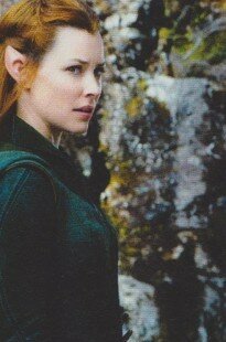 Lo Hobbit (15)