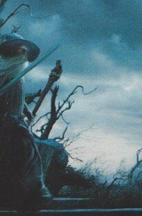 Lo Hobbit (17)